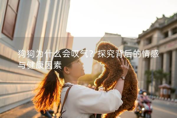 狗狗为什么会叹气？探究背后的情感与健康因素