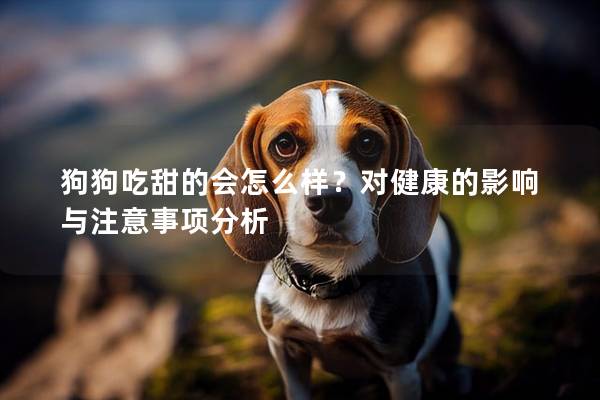 狗狗吃甜的会怎么样？对健康的影响与注意事项分析