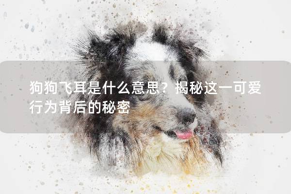 狗狗飞耳是什么意思？揭秘这一可爱行为背后的秘密