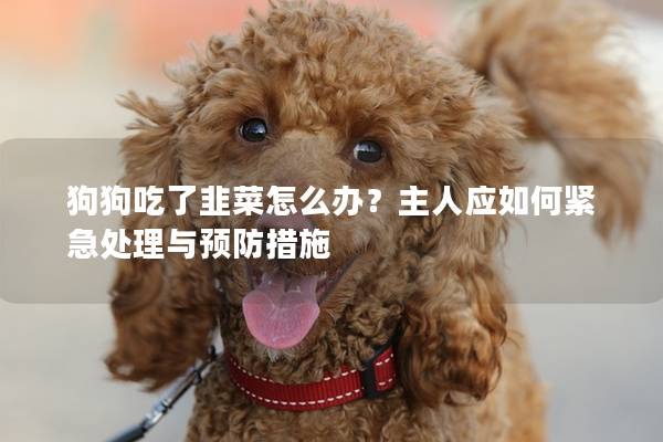 狗狗吃了韭菜怎么办？主人应如何紧急处理与预防措施