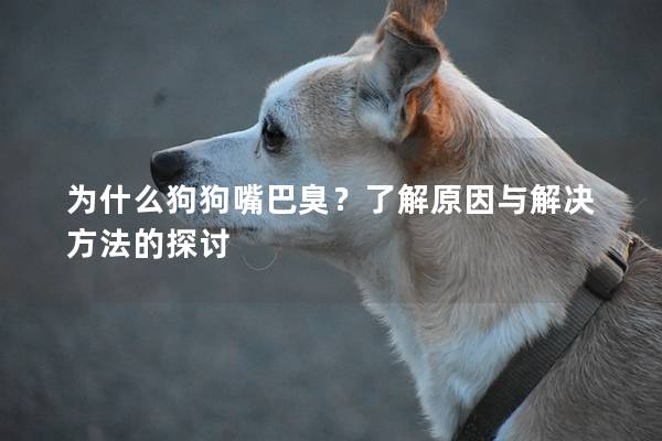 为什么狗狗嘴巴臭？了解原因与解决方法的探讨