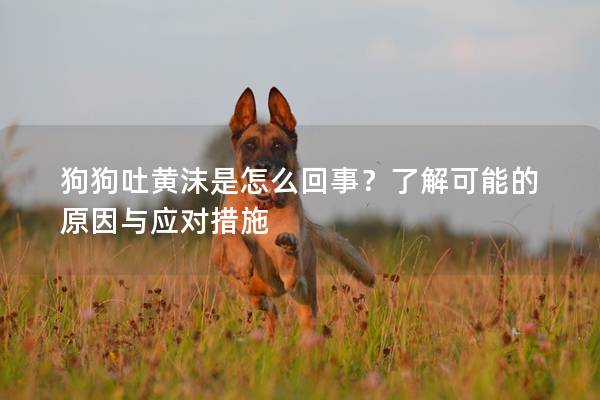 狗狗吐黄沫是怎么回事？了解可能的原因与应对措施