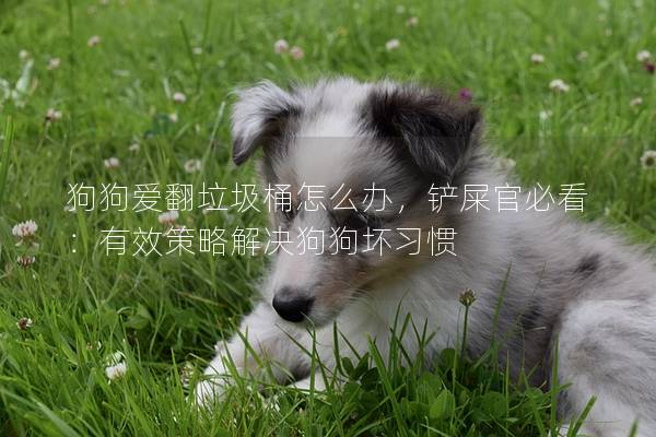 狗狗爱翻垃圾桶怎么办，铲屎官必看：有效策略解决狗狗坏习惯
