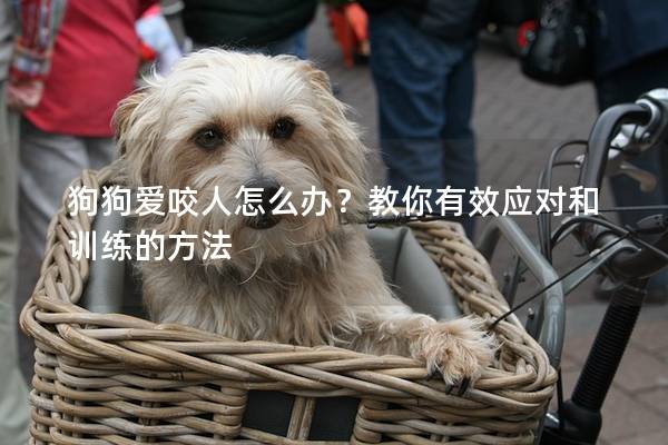 狗狗爱咬人怎么办？教你有效应对和训练的方法