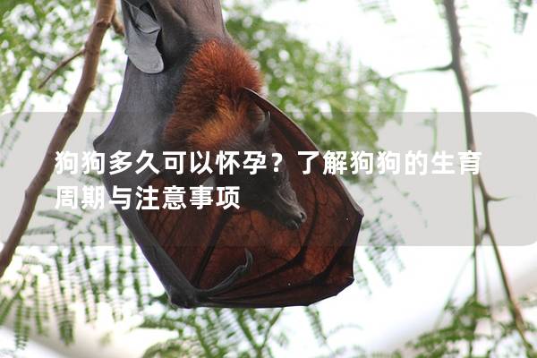 狗狗多久可以怀孕？了解狗狗的生育周期与注意事项