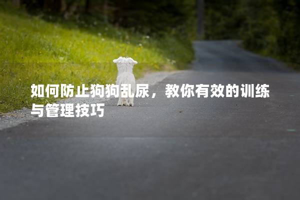 如何防止狗狗乱尿，教你有效的训练与管理技巧