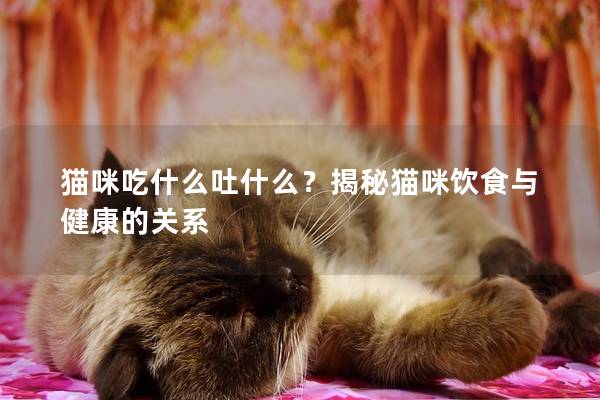 猫咪吃什么吐什么？揭秘猫咪饮食与健康的关系