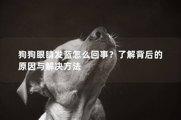 狗狗眼睛发蓝怎么回事？了解背后的原因与解决方法