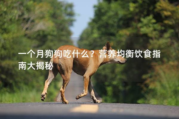 一个月狗狗吃什么？营养均衡饮食指南大揭秘