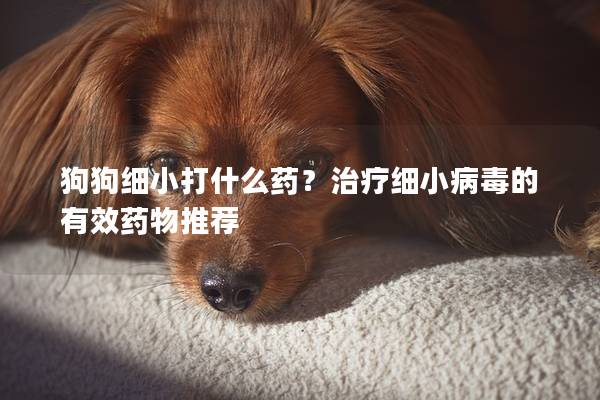 狗狗细小打什么药？治疗细小病毒的有效药物推荐