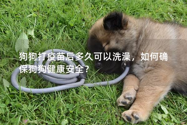 狗狗打疫苗后多久可以洗澡，如何确保狗狗健康安全？