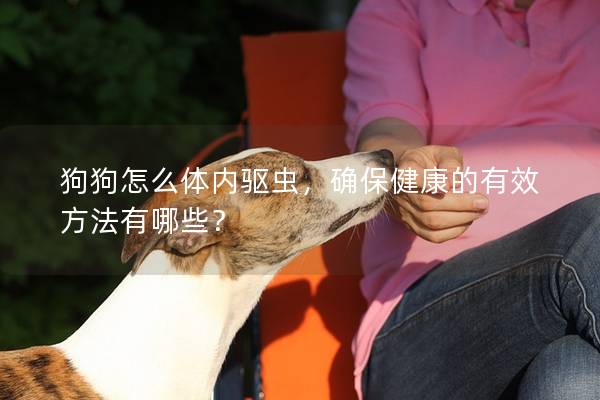 狗狗怎么体内驱虫，确保健康的有效方法有哪些？