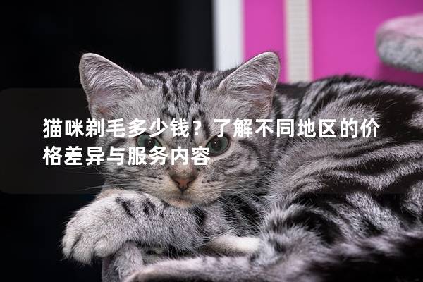 猫咪剃毛多少钱？了解不同地区的价格差异与服务内容
