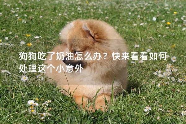 狗狗吃了奶油怎么办？快来看看如何处理这个小意外