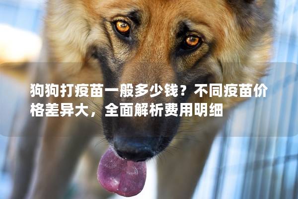 狗狗打疫苗一般多少钱？不同疫苗价格差异大，全面解析费用明细