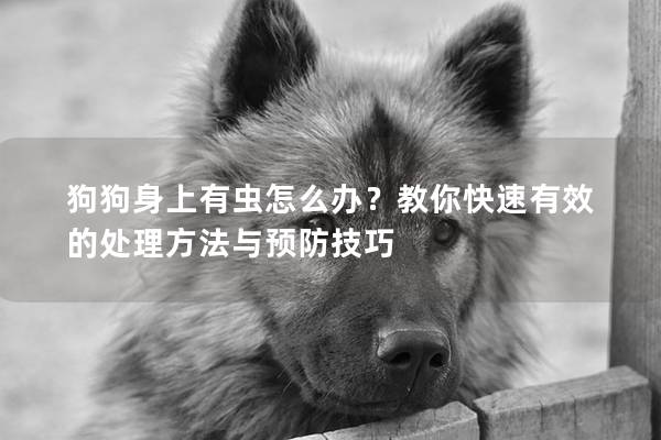 狗狗身上有虫怎么办？教你快速有效的处理方法与预防技巧