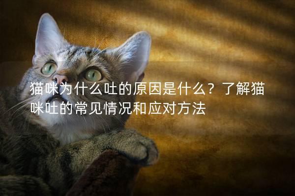 猫咪为什么吐的原因是什么？了解猫咪吐的常见情况和应对方法