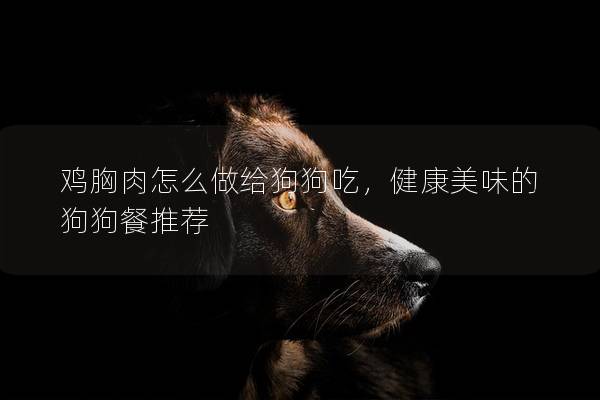 鸡胸肉怎么做给狗狗吃，健康美味的狗狗餐推荐