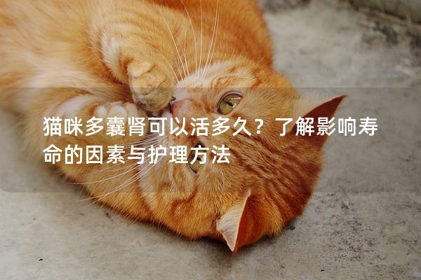 猫咪多囊肾可以活多久？了解影响寿命的因素与护理方法