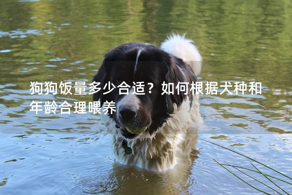 狗狗饭量多少合适？如何根据犬种和年龄合理喂养