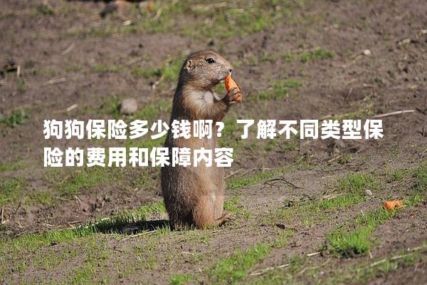 狗狗保险多少钱啊？了解不同类型保险的费用和保障内容