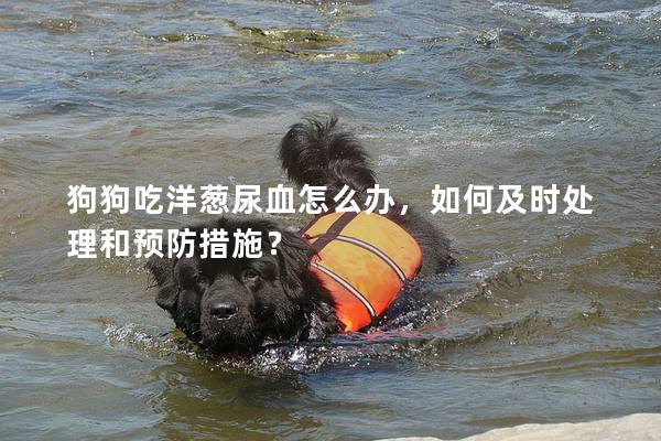 狗狗吃洋葱尿血怎么办，如何及时处理和预防措施？