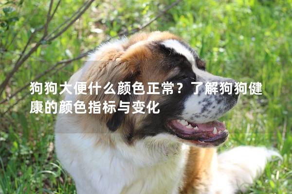 狗狗大便什么颜色正常？了解狗狗健康的颜色指标与变化