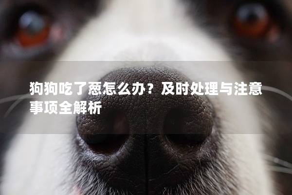 狗狗吃了葱怎么办？及时处理与注意事项全解析