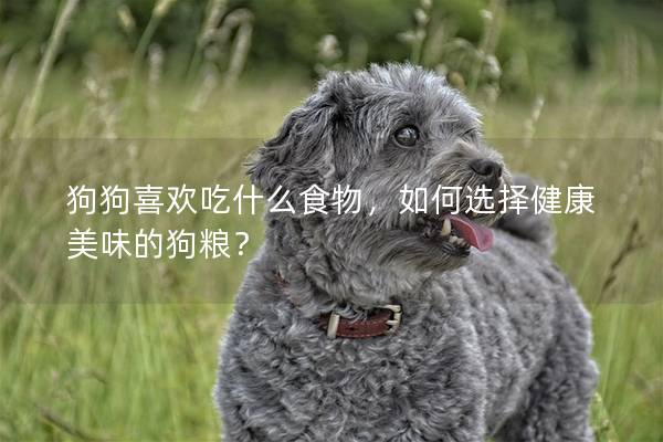 狗狗喜欢吃什么食物，如何选择健康美味的狗粮？