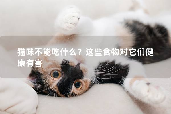 猫咪不能吃什么？这些食物对它们健康有害