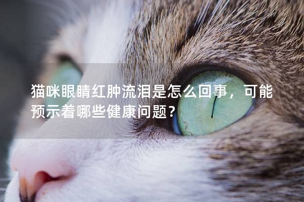 猫咪眼睛红肿流泪是怎么回事，可能预示着哪些健康问题？