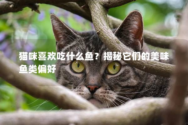猫咪喜欢吃什么鱼？揭秘它们的美味鱼类偏好