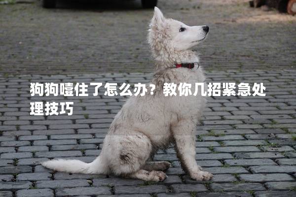 狗狗噎住了怎么办？教你几招紧急处理技巧