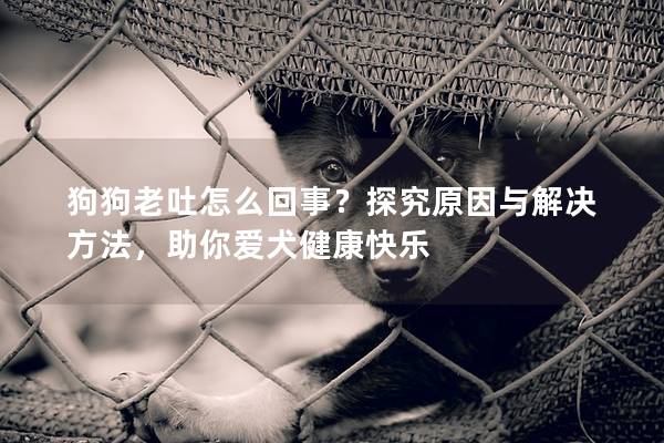狗狗老吐怎么回事？探究原因与解决方法，助你爱犬健康快乐