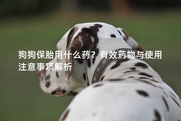 狗狗保胎用什么药？有效药物与使用注意事项解析