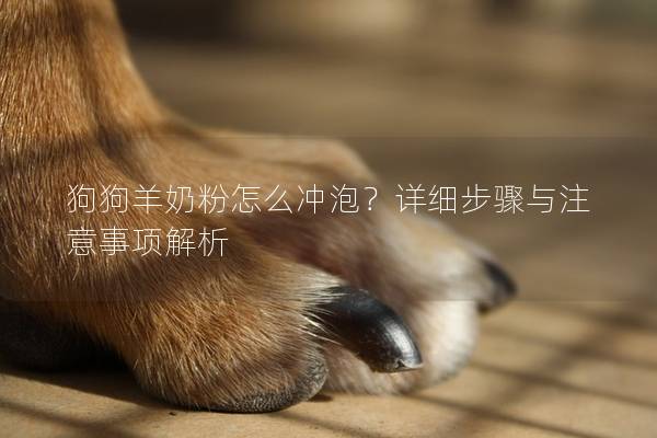 狗狗羊奶粉怎么冲泡？详细步骤与注意事项解析