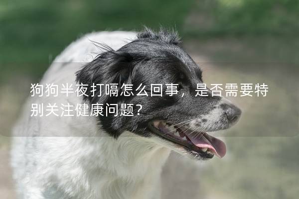狗狗半夜打嗝怎么回事，是否需要特别关注健康问题？