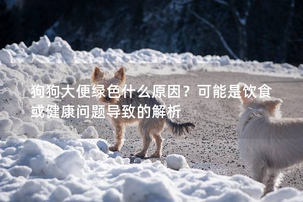 狗狗大便绿色什么原因？可能是饮食或健康问题导致的解析