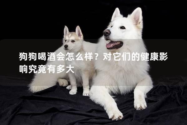 狗狗喝酒会怎么样？对它们的健康影响究竟有多大
