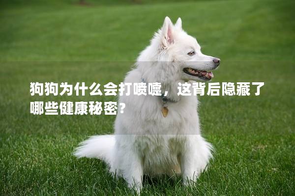 狗狗为什么会打喷嚏，这背后隐藏了哪些健康秘密？