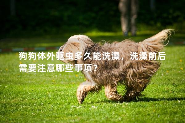 狗狗体外驱虫多久能洗澡，洗澡前后需要注意哪些事项？