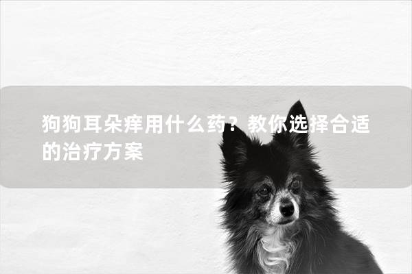 狗狗耳朵痒用什么药？教你选择合适的治疗方案