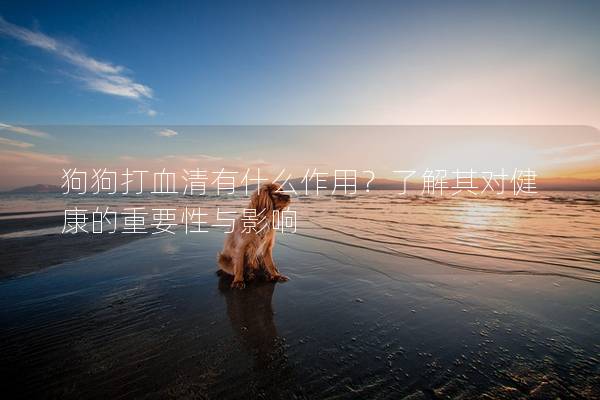 狗狗打血清有什么作用？了解其对健康的重要性与影响