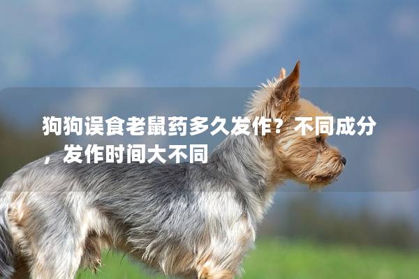 狗狗误食老鼠药多久发作？不同成分，发作时间大不同