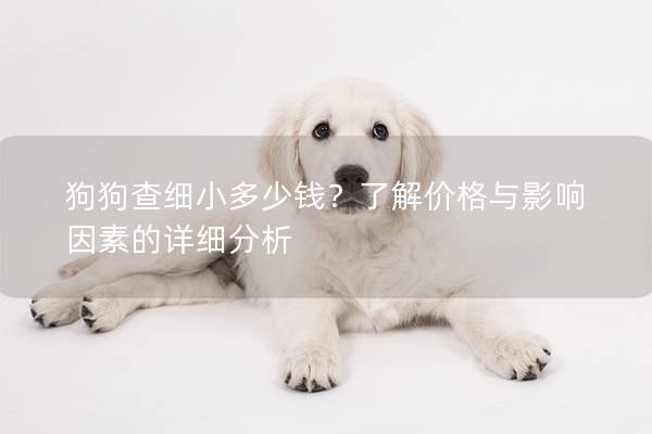 狗狗查细小多少钱？了解价格与影响因素的详细分析