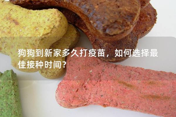 狗狗到新家多久打疫苗，如何选择最佳接种时间？