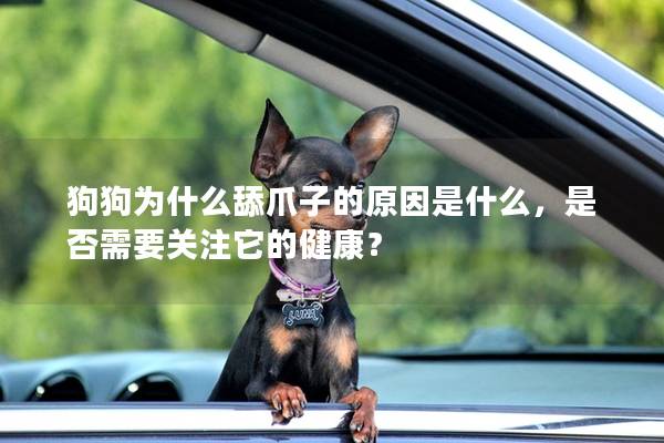 狗狗为什么舔爪子的原因是什么，是否需要关注它的健康？