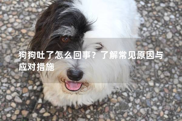 狗狗吐了怎么回事？了解常见原因与应对措施