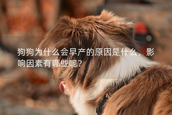 狗狗为什么会早产的原因是什么，影响因素有哪些呢？
