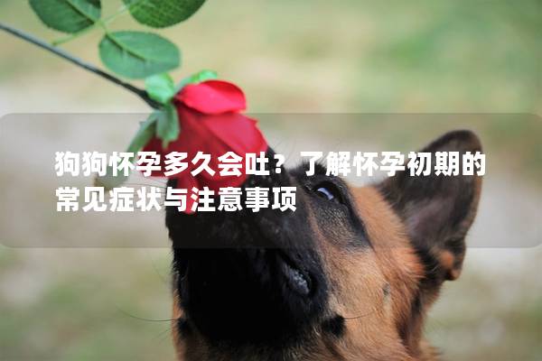 狗狗怀孕多久会吐？了解怀孕初期的常见症状与注意事项